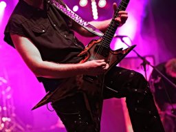 milo_palace 8